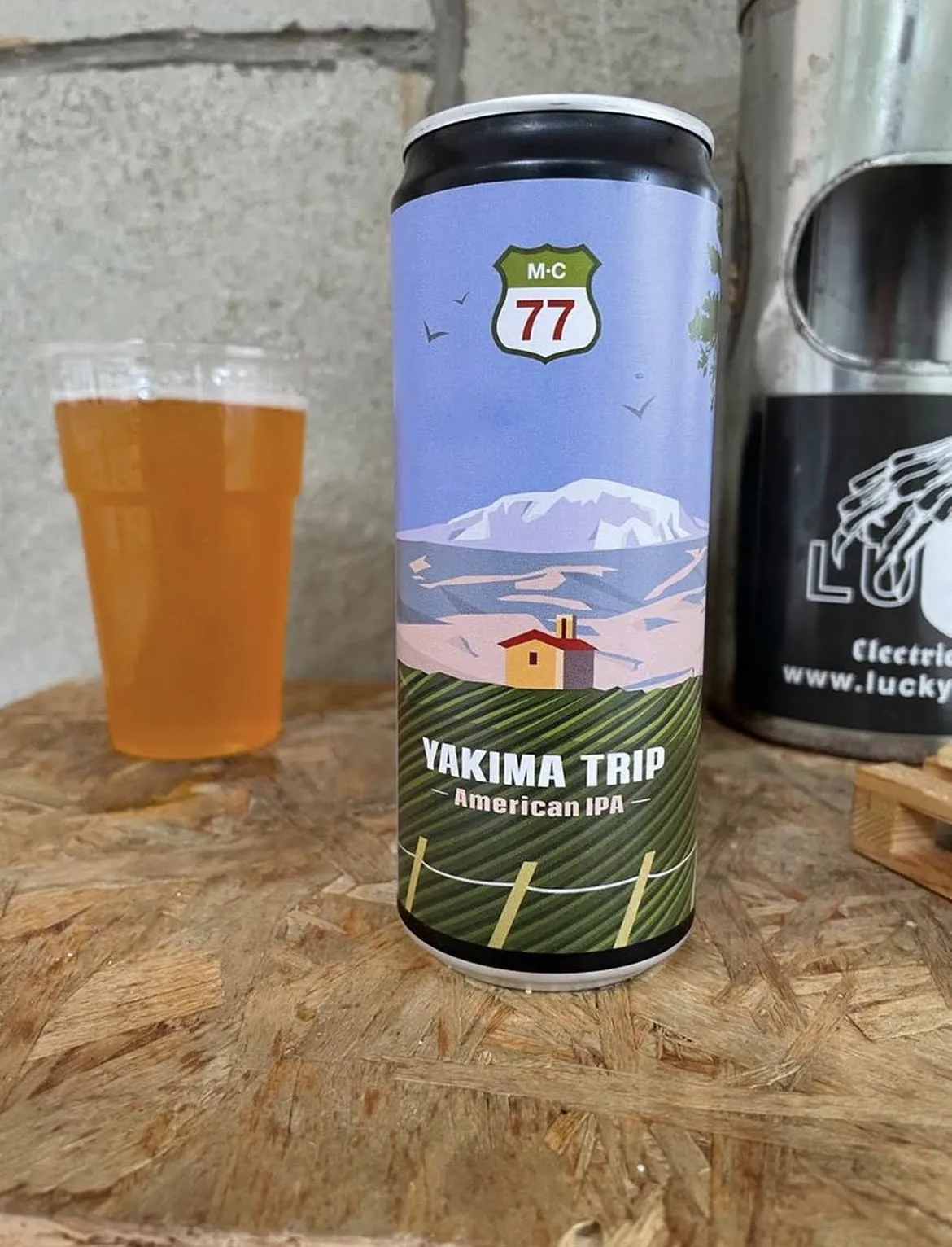 Birre artigianali in vetrina